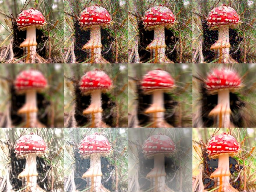 Investigadores criam EVNets para aproximar IA da visão humana