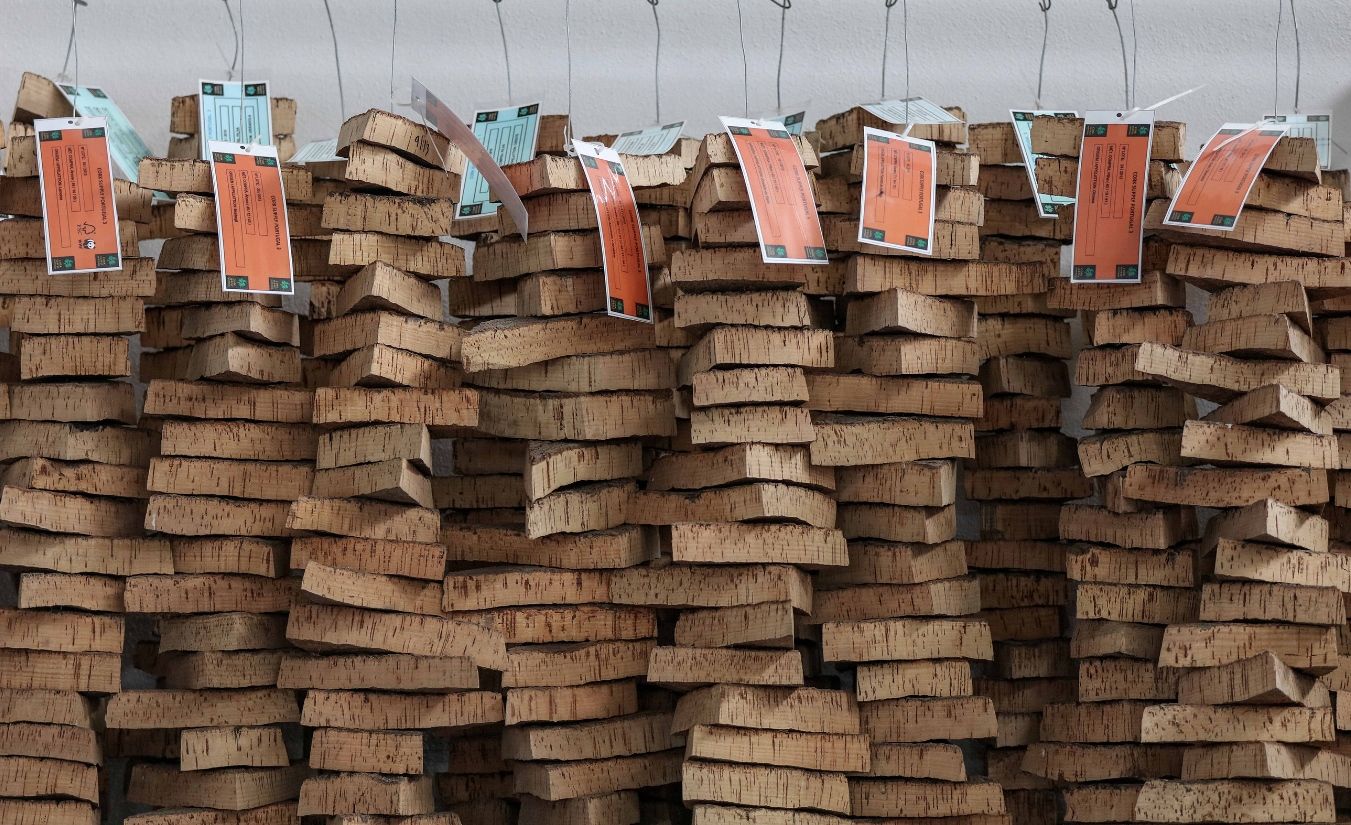 BPI estrutura financiamento sustentável de 10 milhões para Cork Supply