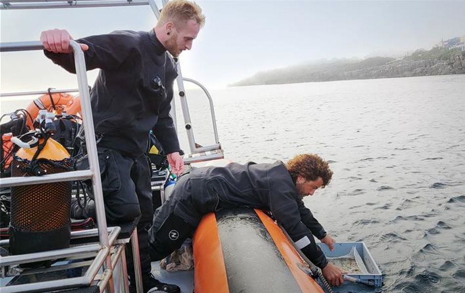 Plataforma mobiliza mais de 2 mil investidores para projeto ambiental