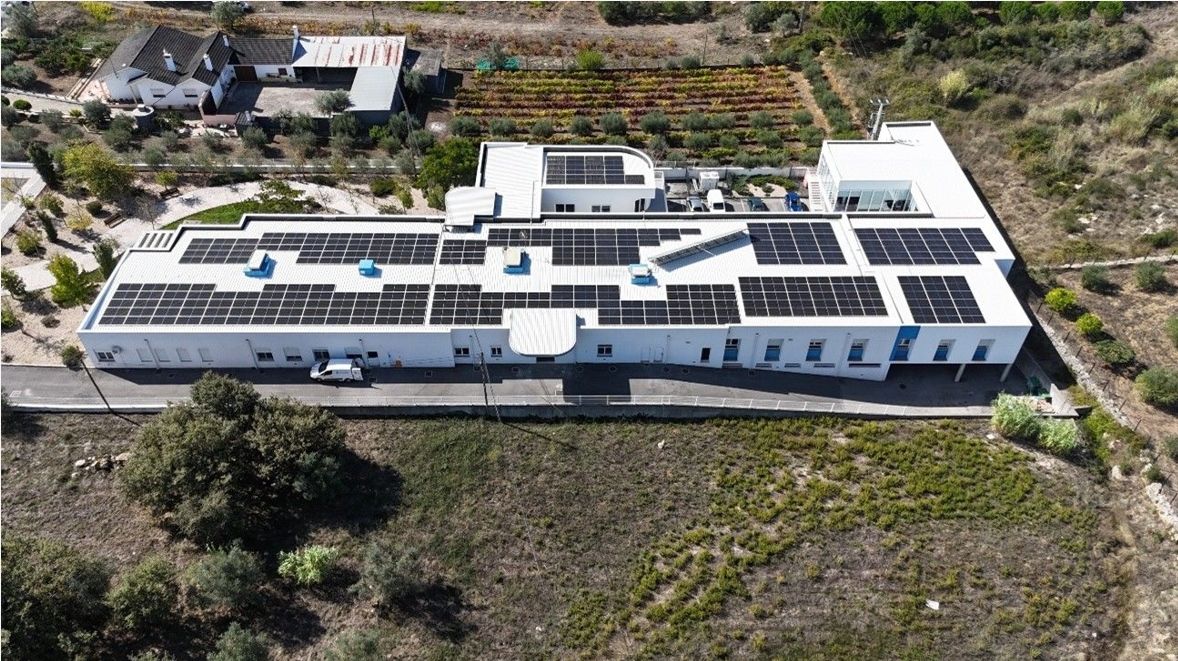 Comunidades de energia ganham escala em Portugal