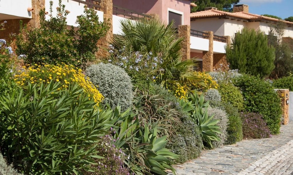 Private equity avança para consolidação do setor de jardins